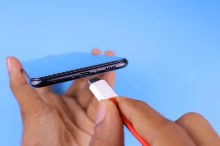 Kazino Mobile Wins Mobilā lietotne